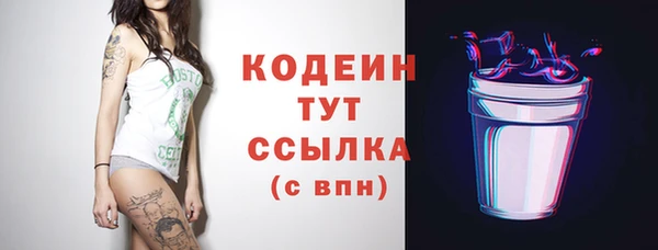 индика Каменск-Шахтинский