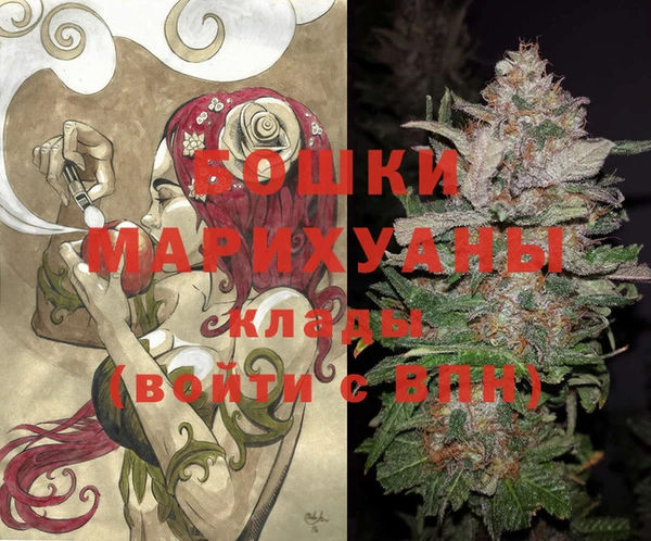 СК Каменка